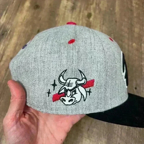 Chicago Bulls Melonwear BMO Pride Men's Hat Embroidered Wool Snapback - Picture 10 of 11